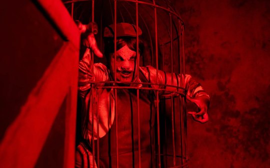 Monstro se assusta com outro na "Hora do Horror" e cena viraliza