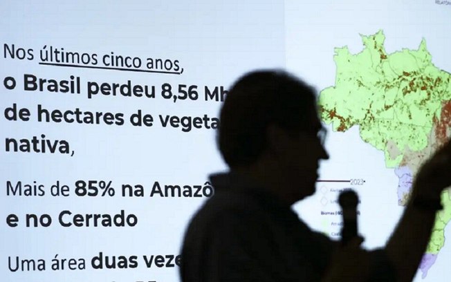 Brasil já perdeu 33% das áreas naturais de seu território, divulga Mapbiomas