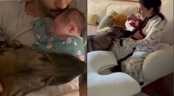 Paes Leme apresenta filha recém-nascida a cão da família