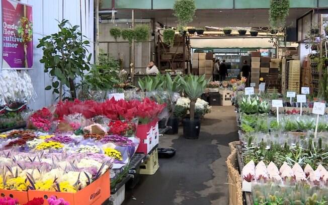 Dia das Mães: Mercado de Flores prevê aumento de 25% nas vendas