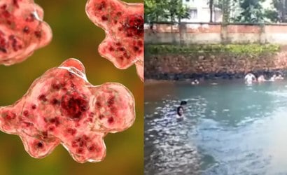 Ameba comedora de cérebro mata menino que pulou em água contaminada