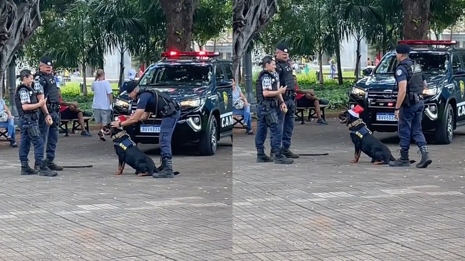 Policiais da GCM de Ribeirão Preto, em São Paulo, se divertiram em sessão de fotos com cachorro