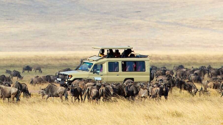 Serengeti  National Park