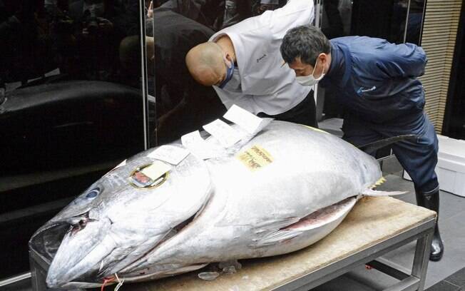 O peixe foi vendido por 20,8 milhões de ienes (mais de R$ 1 milhão)
