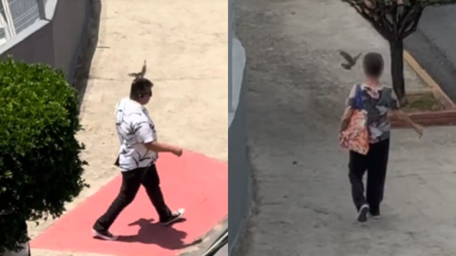 Ataques feitos pelo passarinho Ataques feitos pelo passarinho