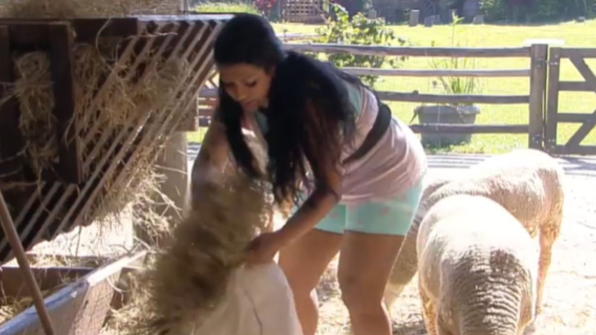 Moranguinho recebeu primeira função no trato dos animais em 'A Fazenda 14'