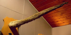 Museu do Pênis é atração na Islândia com cerca de 600 falos