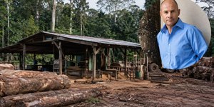 Bilionário compra madeireira na Amazônia com objetivo de fechá-la