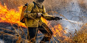 Goiás soma quase 660 incêndios florestais e decreta emergência