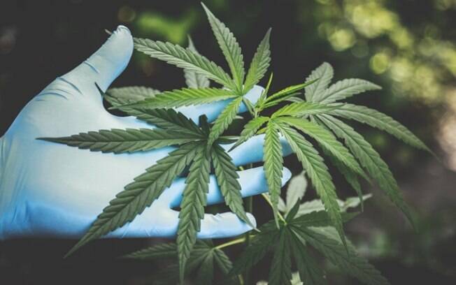 Congresso internacional debate políticas sobre drogas