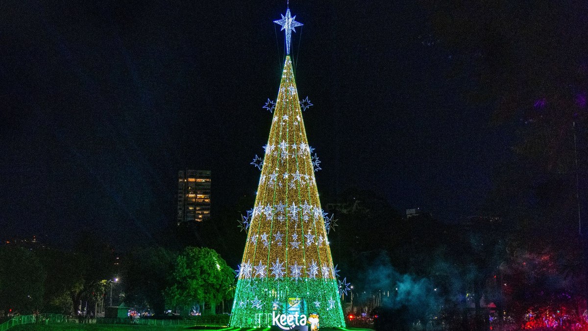 Árvore de Natal do Parque Ibirapuera Árvore de Natal do Parque Ibirapuera