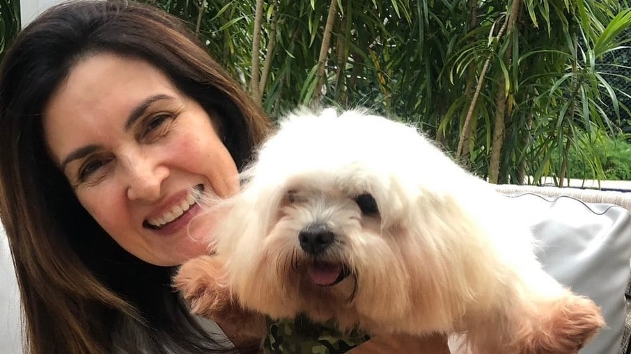 Chantily, cachorro de estimação de William Bonner e Fátima Bernardes, morre aos 17 anos