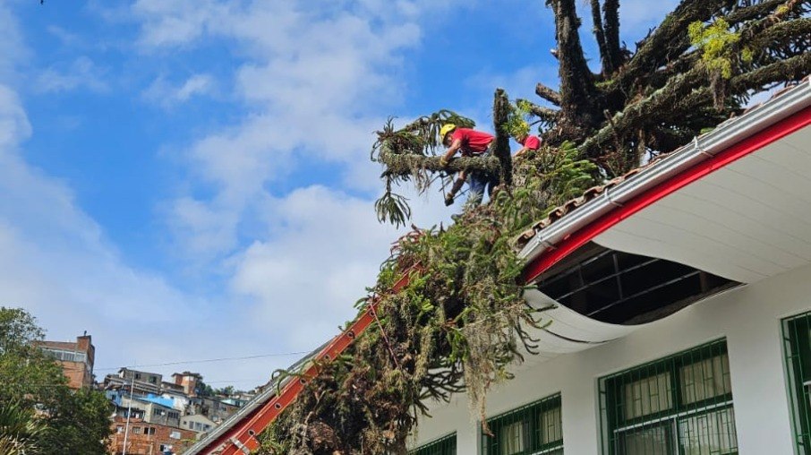 A equipe dos Bombeiros segue atuando no local para remoção da árvore A equipe dos Bombeiros segue atuando no local para remoção da árvore