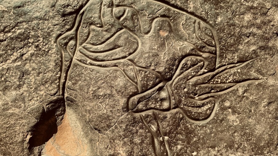 Gravura em pedra no sítio arqueológico de Tassili n'Ajjer, na Argélia Gravura em pedra no sítio arqueológico de Tassili n'Ajjer, na Argélia