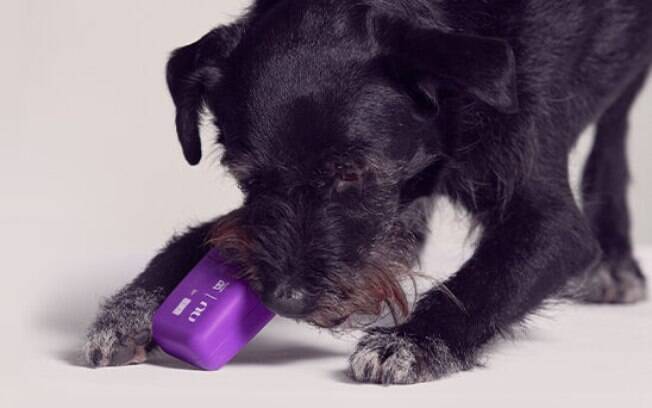 Nubank anuncia cartão de crédito para cachorro em parceria com a Zee.Dog