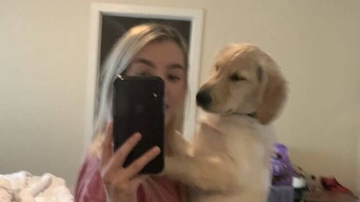 Foto de cachorro no espelho viraliza na web por motivo curioso