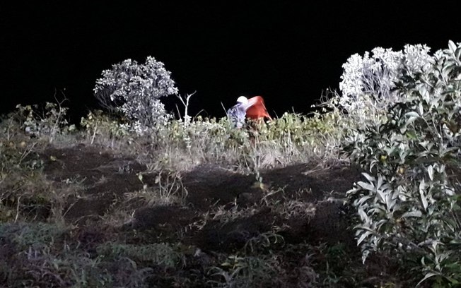 Bombeiros salvam cachorro caramelo em situação de risco no Morro do Camaroeiro Bombeiros salvam cachorro caramelo em situação de risco no Morro do Camaroeiro