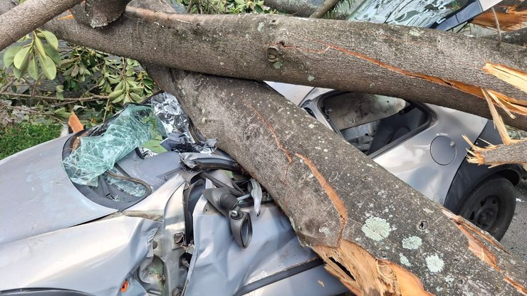 Temporal provoca alagamentos e quedas de árvores em São Paulo