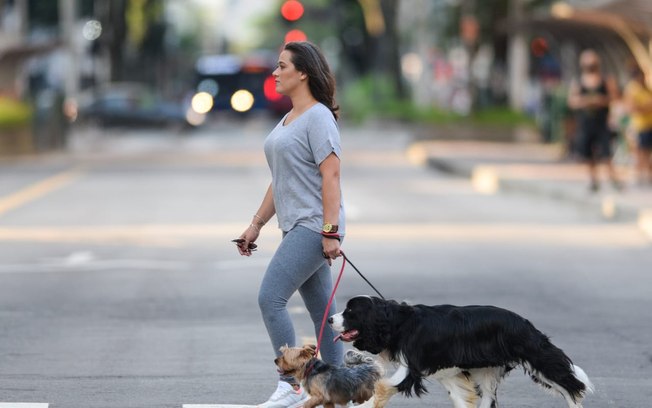 Proibição de coleira em Pets? Entenda a nova PL em aprovação 4tlyfn9tuuxydlq0i2pj4f6jv