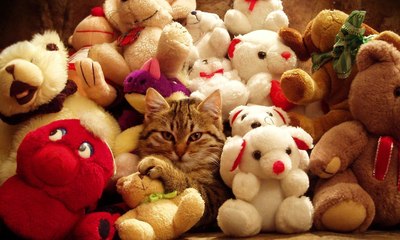 Bichinhos de pelúcia são muito mais do que brinquedos para gatos