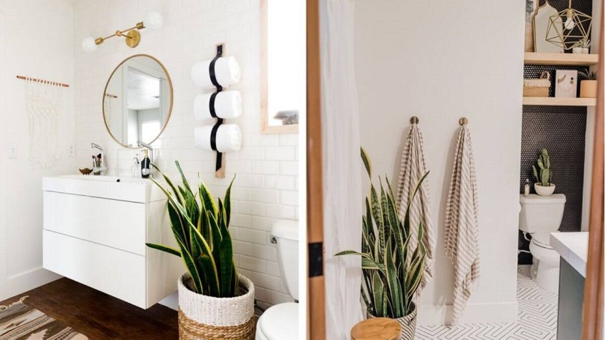 15 plantas perfeitas para o banheiro
