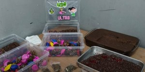 "Brisadeiro": homem é preso ao vender doce com maconha em SP