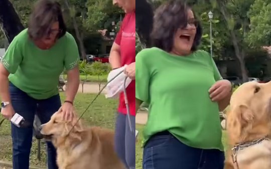 Cão abocanha microfone e repórter se diverte