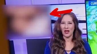 Vídeo erótico é transmitido ao vivo durante telejornal