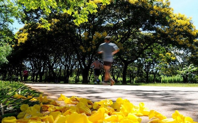 Investimentos consolidam Parque da Cidade como referência para eventos culturais