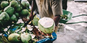 Transição energética: vem aí o biocombustível de coco verde