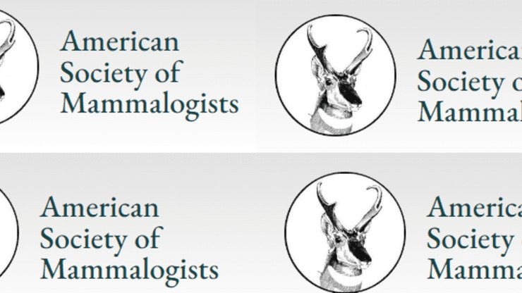 Pesquisadores descobrem nova espécie de cervo no Peru