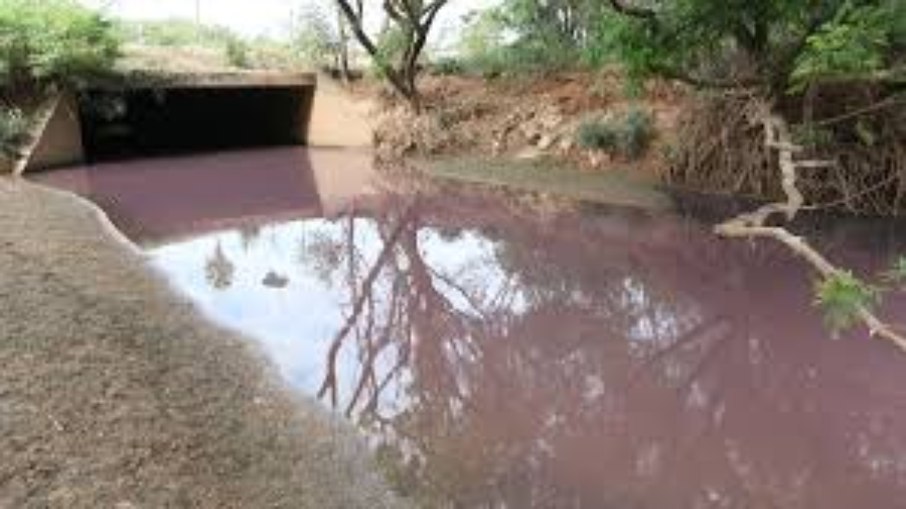 A coloração veio através de uma atividade de tinturaria da indústria que acabou indo para a água