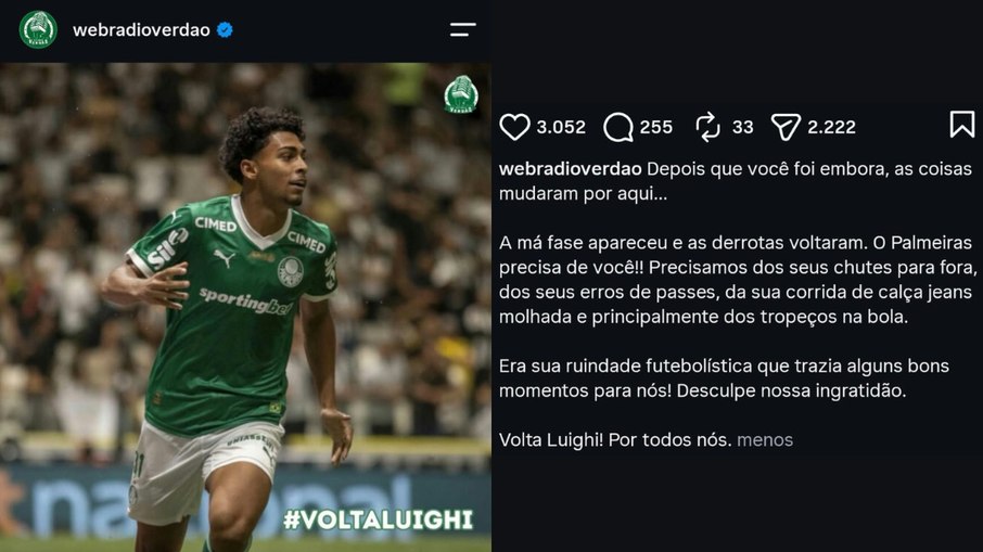 Perfil palmeirense ironiza passagem e pede volta de Luighi