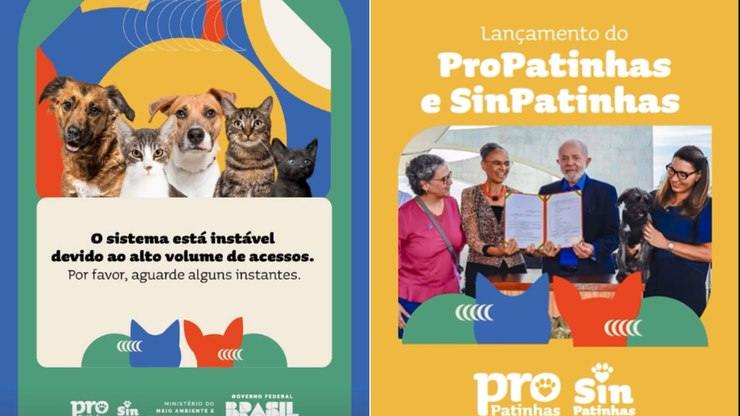 Instabilidade no site do "RG Animal" impede cadastro de pets