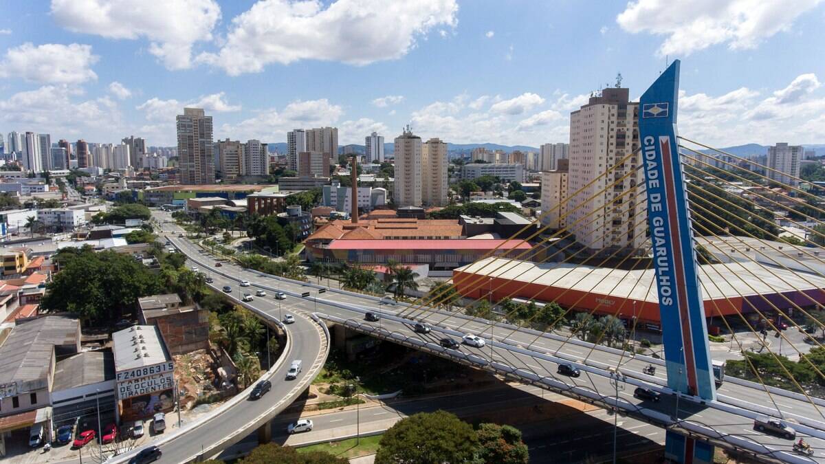 O não cumprimento das regras constantes do decreto sujeitará o infrator à penalidade de multa e demais sanções previstas no Código de Posturas de Guarulhos.