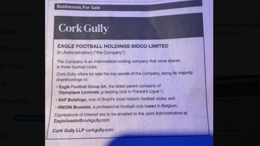 Empresa colocou SAF do Botafogo à venda