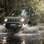 Suzuki jimny Forest. Foto: Divulgação