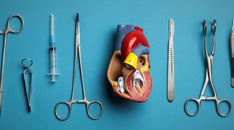 Transplante de órgãos: pacientes podem herdar personalidade do doador