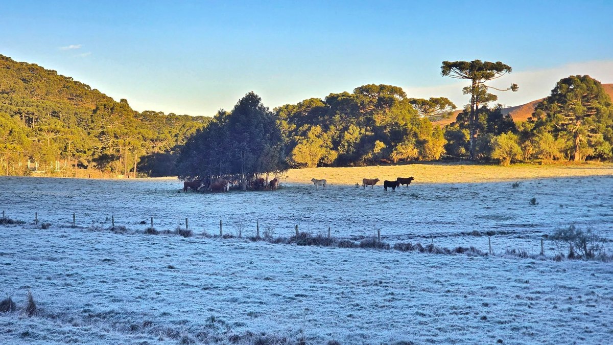 SC
registra segunda menor temperatura do ano: -9,1ºC; veja fotos - QTU Questões do Universo