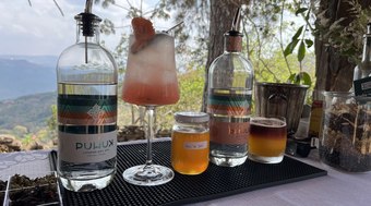 Fam%C3%ADlia%20mineira%20lan%C3%A7a%20primeiro%20gin%20com%20mel%20de%20abelhas%20nativas