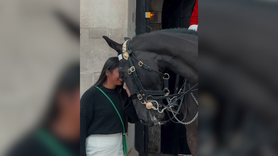 Cavalo da guarda britânica emociona ao retribuir gesto de carinho