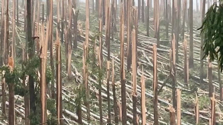 Dois%20tornados%20atingem%20o%20Brasil%20e%20vendavais%20amea%C3%A7am%209%20estados