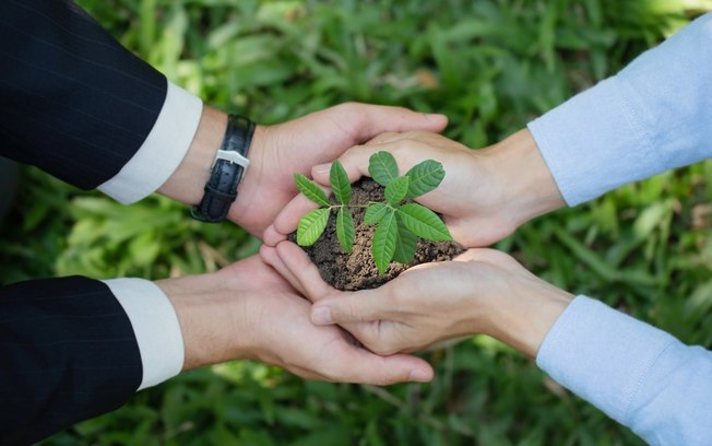 Brasil, inovação e economia verde: um chamado urgente para empreendedores