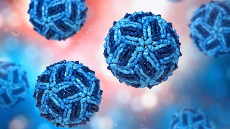 Parceria USP São Carlos e universidade suíça identifica composto contra doenças de mosquitos