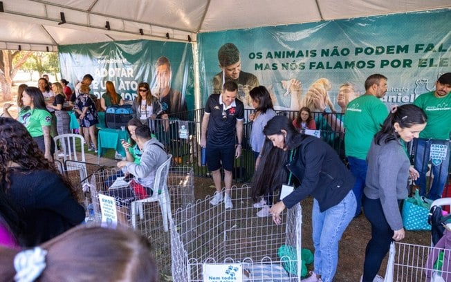 DF: feira “Audote um Amigo” encontra lares para 129 cães e gatos no 1ª semestre