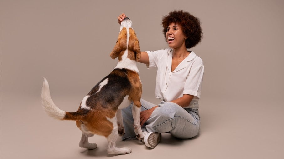 Dia do Amigo: por que os cachorros são considerados o melhor amigo do homem?