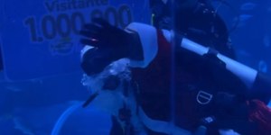 Verão: Papai Noel mergulha com peixes no RJ para celebrar o Natal