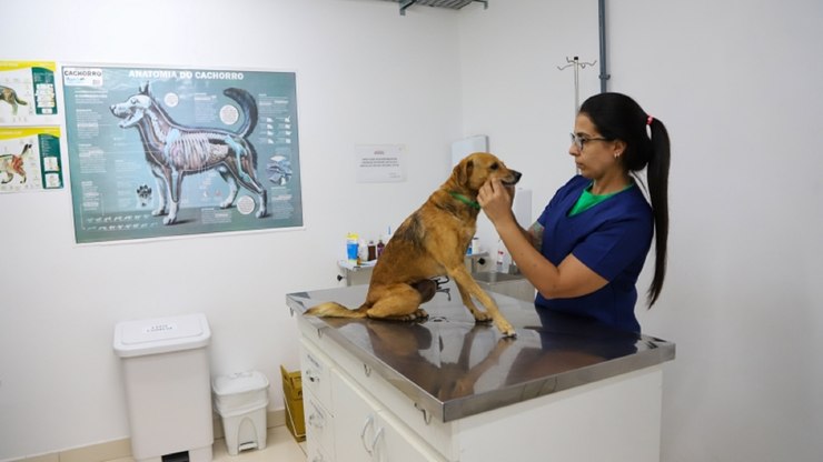 Vinhedo amplia atendimento veterinário gratuito na UBS Animal