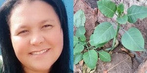 Morre mulher que comeu "couve falsa" em Minas Gerais