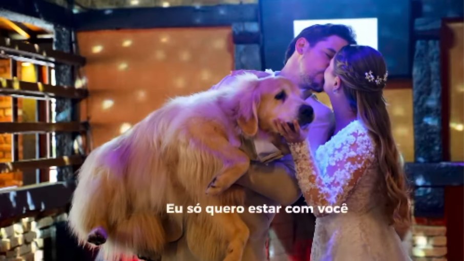 Valsa de casamento fica inesquecível com golden